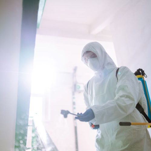 how long does fumigation take