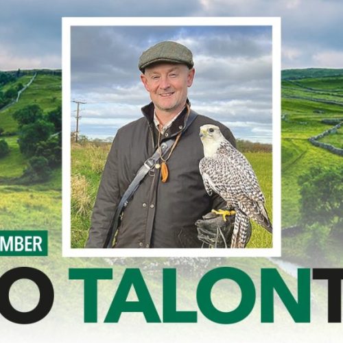 paul's interview cover